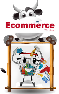 Effective eCcommerce integration