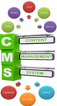 CMS platform customization